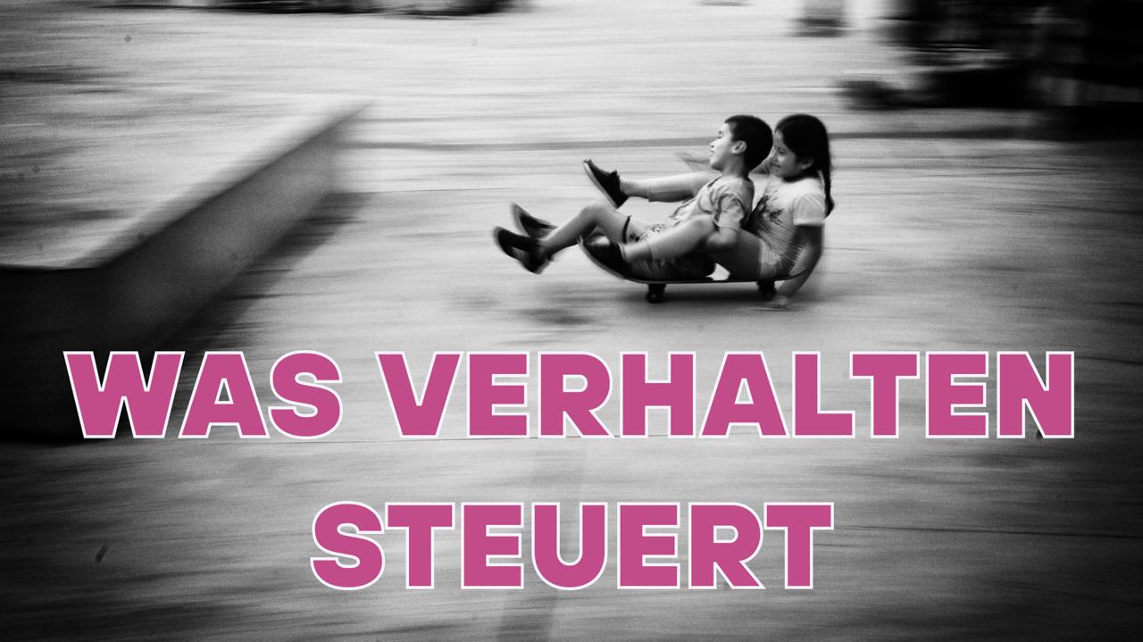 Was Verhalten steuert